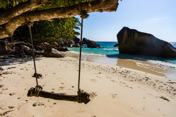 istock Makeshift wooden swing on a deserted tropical sandy beach 1295292965