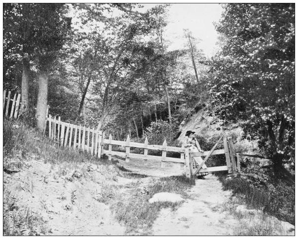 Antique photograph: In Berkshire hills, Massachusetts Antique photograph: In Berkshire hills, Massachusetts berkshires stock illustrations