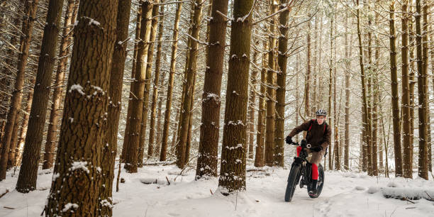 istock Adult man riding fat bicycle in winter 1295298026