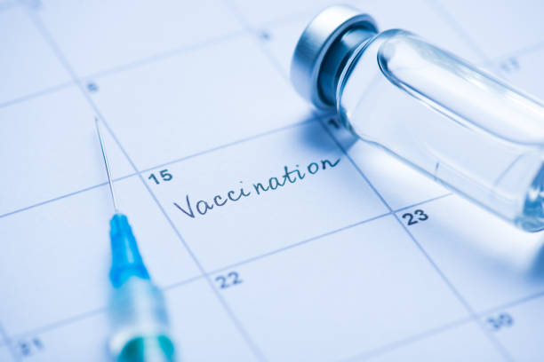 vaccination concept. close up view photo of vial with drugs needle of syringe and word vaccination written in calendar cell - appointment reminder doctor calendar imagens e fotografias de stock