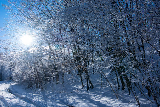 winter