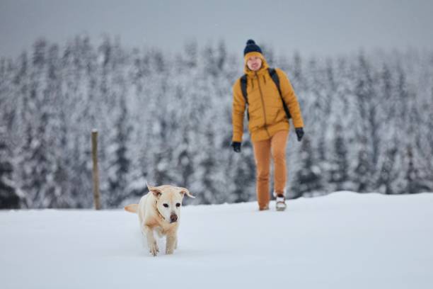 istock Young man with dog in winter nature 1295304057