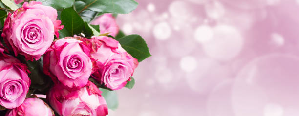 istock pink flowers close up 1295304245
