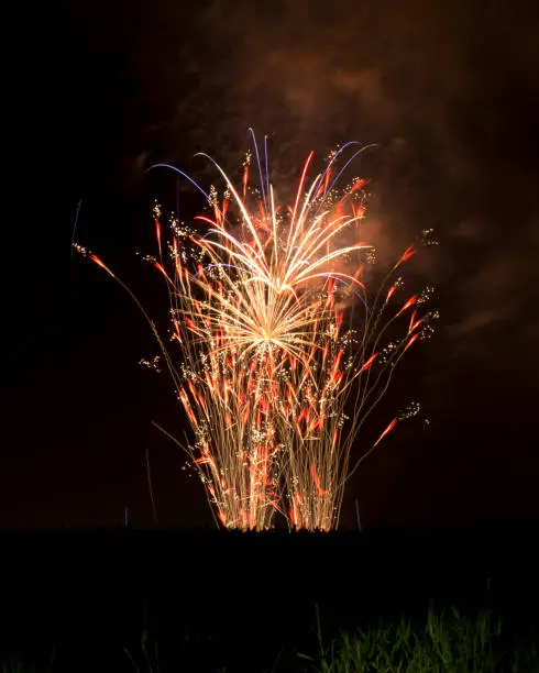 Photo of Fireworks in Bloom