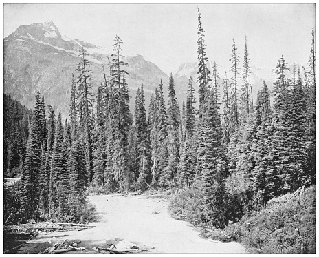 Antique photograph: Mount Sheops and Mount Hermit, Selkirk, Rocky Mountain