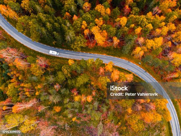 Autumn Forest From Above Stock Photo - Download Image Now - Sweden, Autumn, Road