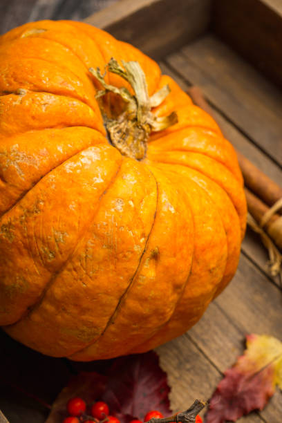 istock Pumpkin on the rustic background with autumn decoration 1295316427