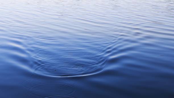 istock Blur blue lake water background with rippled surface and copy space 1295318187