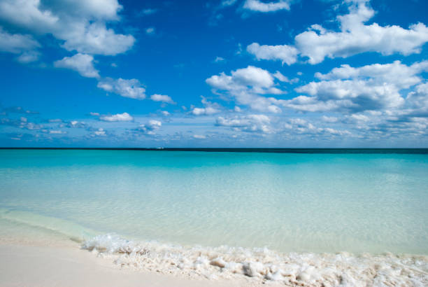 istock Grand Bahama Island Beach Colors 1295320056