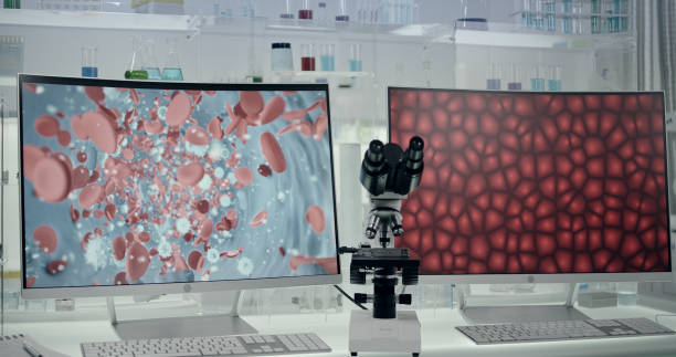 istock Futuristic laboratory equipment. Blood cells research on computer screens 1295324750