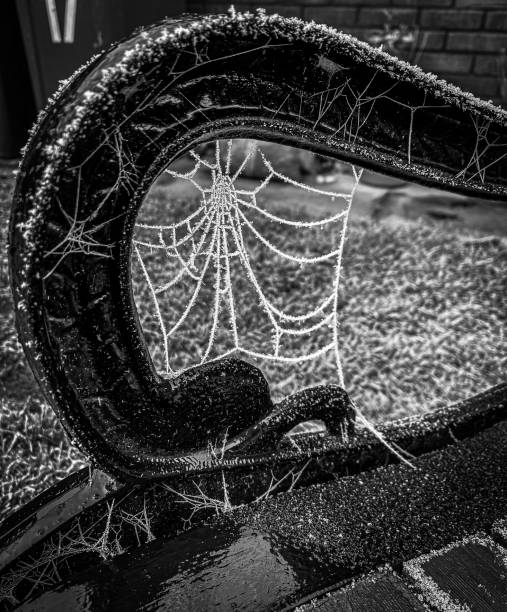 ragnatela ghiacciata - spider web natural pattern dew drop foto e immagini stock
