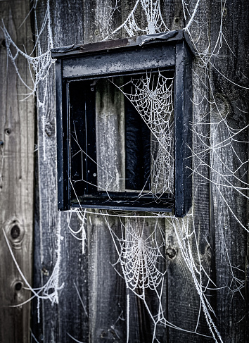 Frosty Spiders Webs Stock Photo - Download Image Now - House, Spider ...