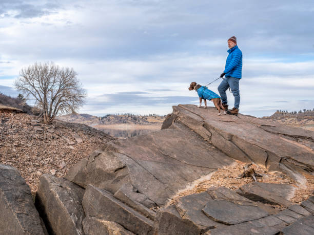 ロッキー山脈のふもとにある湖のほとりでピットブル犬とハイカー - fort collins rock cliff mountain range ストックフォトと画像