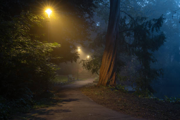 istock Beacon Hill Park Victoria BC 1295339952
