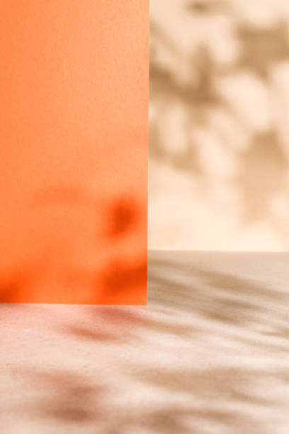 мягкие весенние тени на абрикосовом и оранжевом фоне - spring vertical cherry blossom color image стоковые фото и изображения