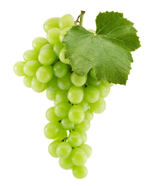 istock green grapes isolated on a white background 1295344166