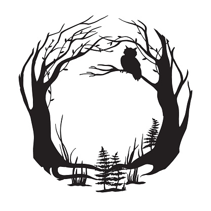 vector black and white illustration. round frame magical, fairy forest. silhouette of forest, trees, grass and an owl on a branch. background for postcard, book, design for halloween