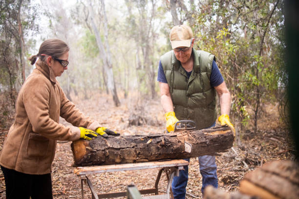 istock Senior Man Cutting Wood with a Chainsaw 1295344610