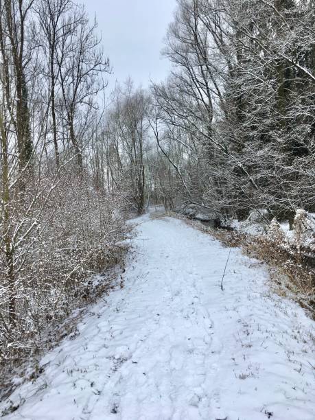 istock Walk along the river on the snow-covered shore. 1295346001