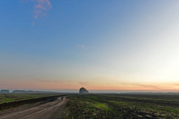 istock Beautiful rural scenery sunsets. 1295346533
