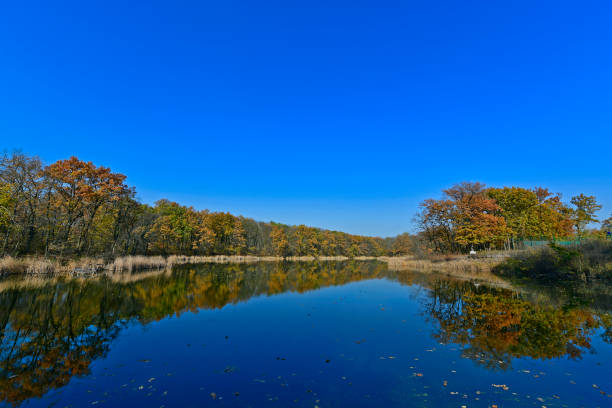 Autumn reflection on the fishing pond in Central Bohemian Highlands, Czech Republic