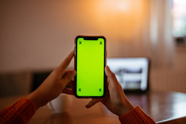 istock Woman hand holding mobile phone 1295347178