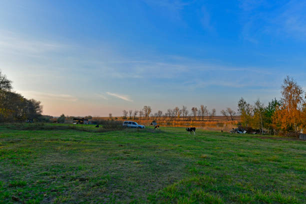 Novomoskovsk is a city in the Dnepropetrovsk region of Ukraine, the center of the Novomoskovsk region. The city is located mainly on the right bank of the Samara River, the left tributary of the Dnieper River.