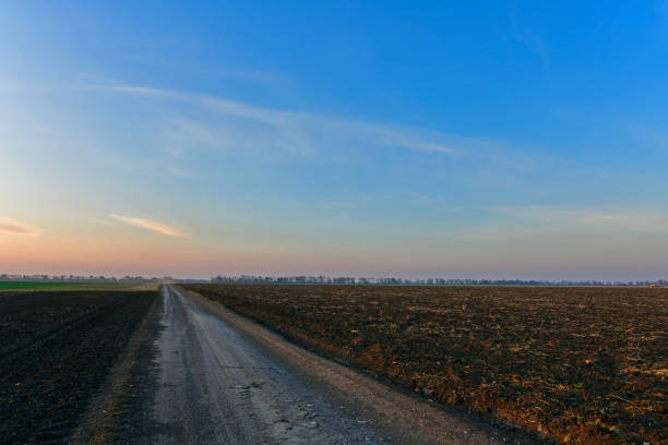 istock Beautiful rural scenery sunsets. 1295348244