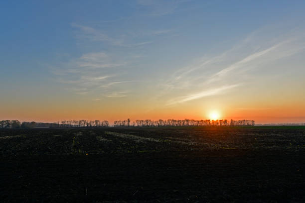 istock Beautiful rural scenery sunsets. 1295348253