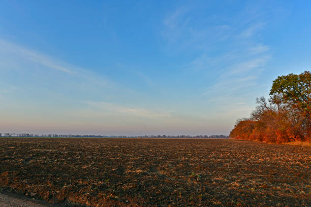 Sunset over the wide open landscape of the floodplains of the river Vecht near Zwolle in Overijssel, Netherlands on March 28 2024.