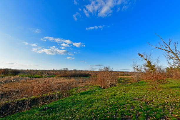 Valdemorillo, Madrid, Spain. Lush green meadows and trees dotting the countryside, set against a backdrop of a cloudy sky, create a serene, tranquil landscape