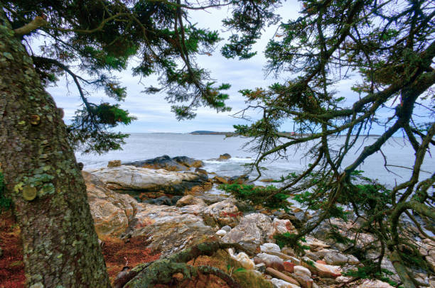Wolfe's Neck Woods State Park is a public recreation area located on Casco Bay on the southeastern side of Freeport, Maine. The state park is 244 acres on a narrow peninsula that runs between Casco Bay and the Harraseeket River. It includes white pine and hemlock forests, salt marsh estuary, and rocky shore. The park is managed by the Maine Department of Agriculture, Conservation and Forestry.