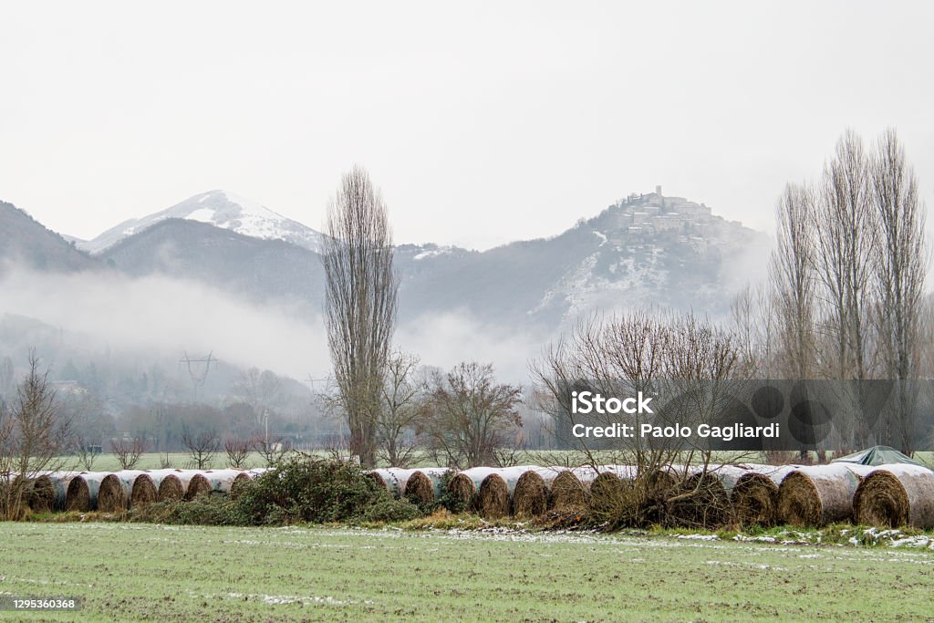 Labro Labro 1 Stock Photo - Download Image Now - Agricultural Field ...