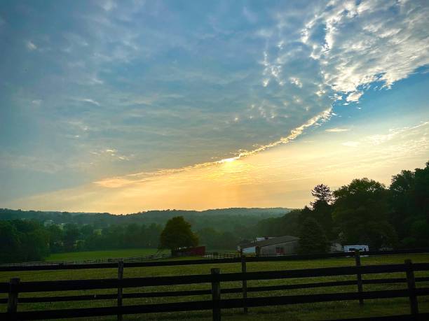 istock Farmland Morning Blues 1295363568