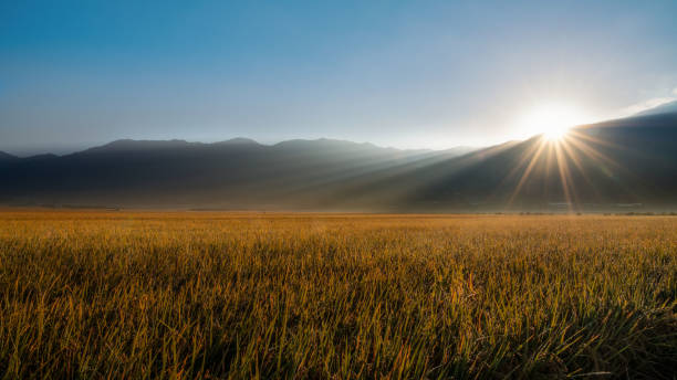 istock Morning in autumn field 1295364367
