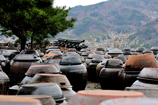 Massil Village, Gwangyang-gun, South Korea