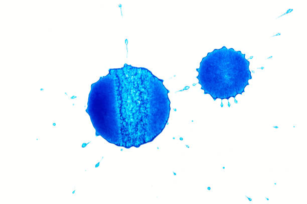 istock Abstract ink splashes or drop isolated on white background. Blue watercolor splashes isolated 1295365544