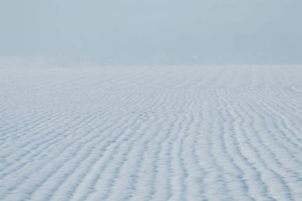 istock Grain field snow covered. Agriculture field under snow. 1295369478