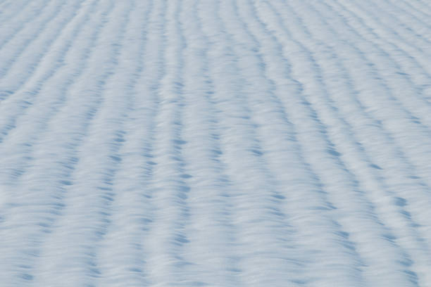 istock Grain field snow covered. Agriculture field under snow. 1295369684