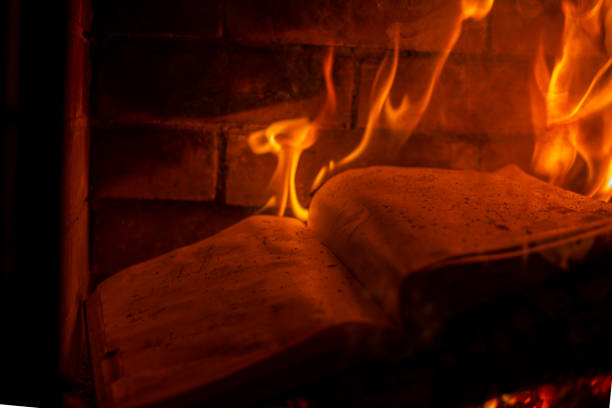 istock burning notebook weekly in the fireplace, last year, fire, horizontal 1295374473