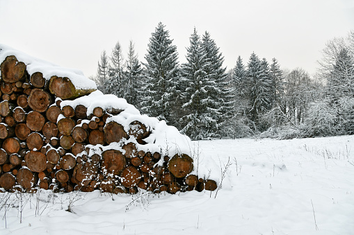 snow-covered firewood
