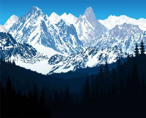 ilustraciones, imágenes clip art, dibujos animados e iconos de stock de vector bosque bosque invierno montañas montañas ilustración europa suiza - mountain mountain peak mountain climbing switzerland