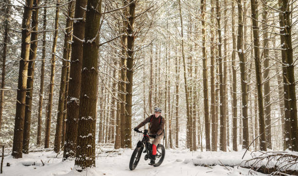istock Adult man riding fat bicycle in winter 1295380105