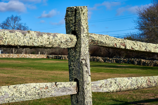 Detail of an old split-rail fence with green lichen borders a field in Westport MA on a clear day in early December