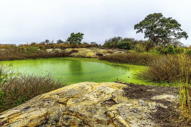 istock Iya Alaro Lake 1295387011