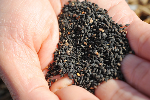 Dry poppy seeds. As food and herbs for health
