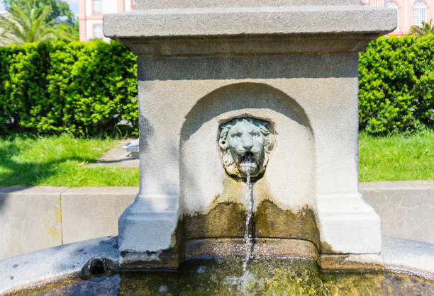 istock Lion Head Fountain Wiesbaden Germany 1295388922