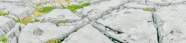 panorama de pavimentos de piedra caliza burren irlanda - county clare the burren ballyvaughan stone fotografías e imágenes de stock