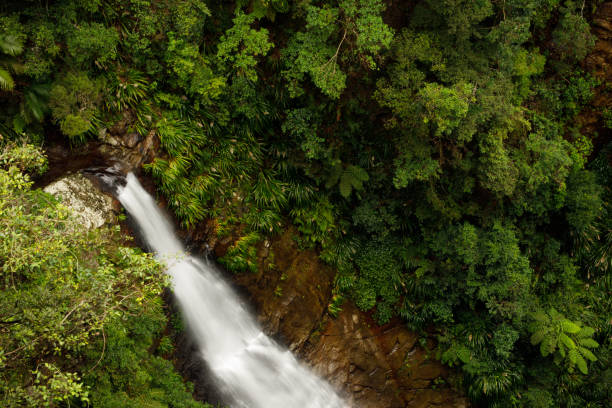 istock Coomera River in Lamington National Park Australia 1295392035