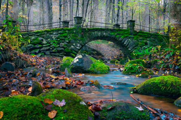 green moss couvert pont de pierre sur gentle creek dans les bois - gatlinburg photos et images de collection